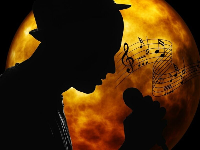 Combien coûte le nom de domaine melody.fr ?